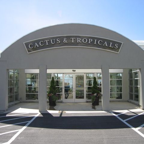 cactus and tropicals